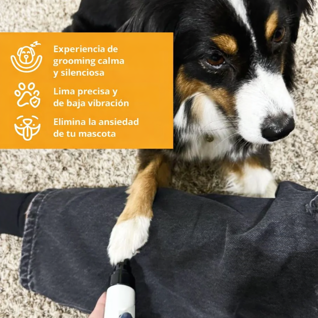 Lima Silenciosa para Perros