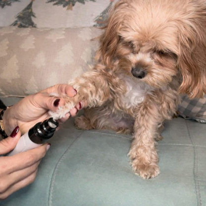 Lima Silenciosa para Perros